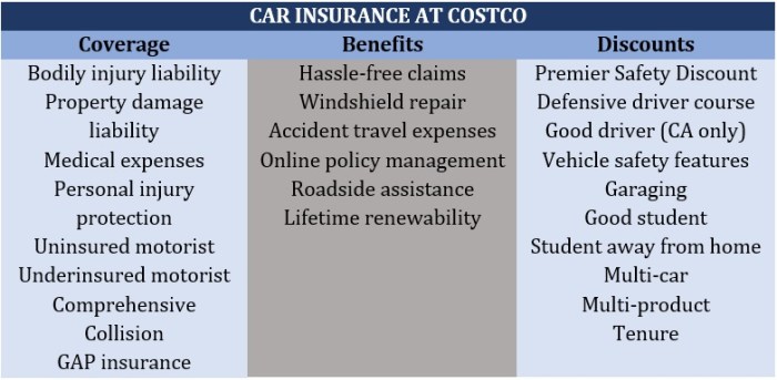 Costco Auto Insurance Review: Ratings and Quotes (2024) - Insurify