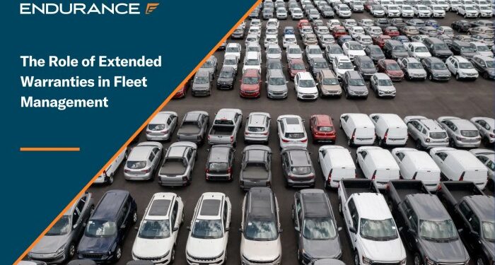 Endurance Vs Protect My Car at Zoe Oatley blog